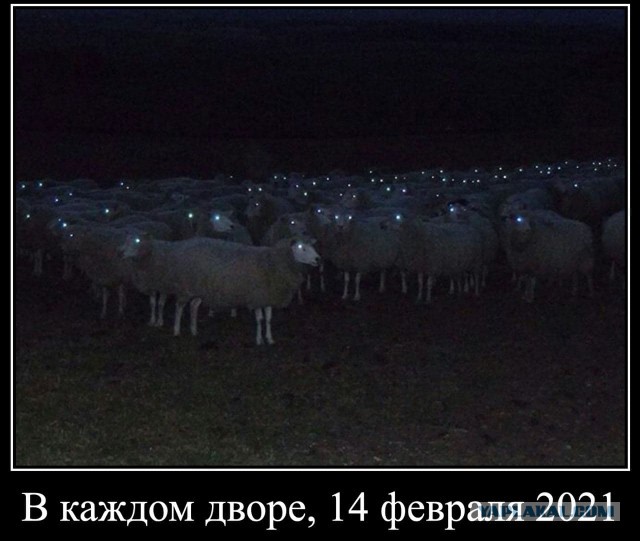 14 февраля новая акция от навальнистов, теперь с фонариками