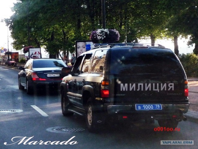 СтопХам 39 Ничего себе! / Not bad !