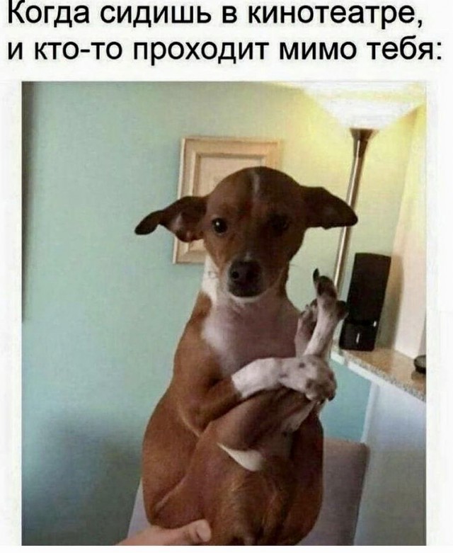 Просветление: ожидание и реальность