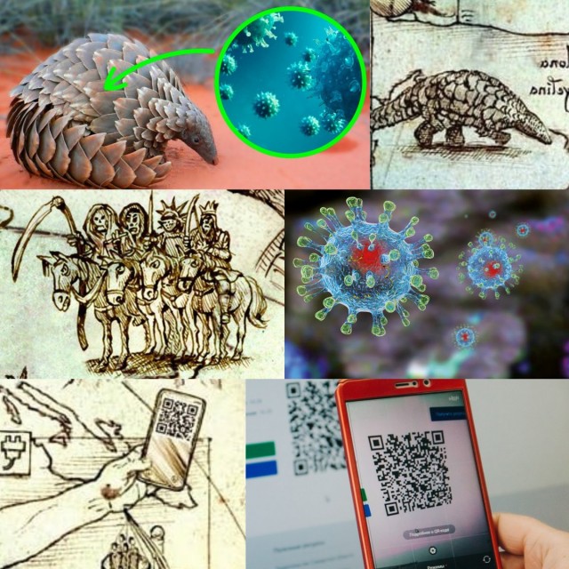 Фейковые QR-коды для входа в рестораны Москвы продают за 11 000 рублей, за них может грозить до двух лет тюрьмы