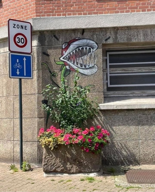 Картинки и мемы для настроения 05.08.2021