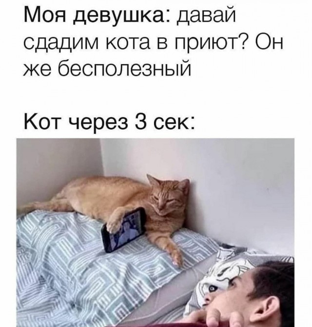 Так себе картинки 28.09.21