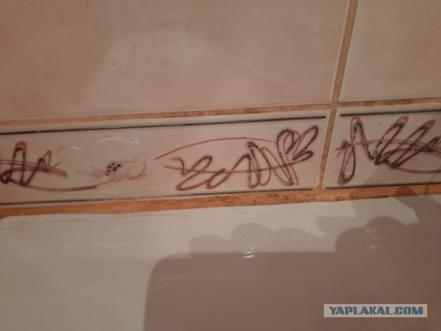 Пособие по удалению грибка с затирки