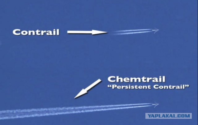 Помощник дежурного в ФСБ по Новосибирской области принимает жалобу на полосы от самолетов в небе