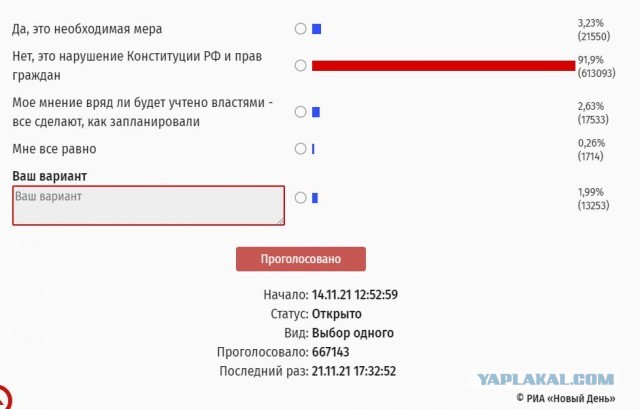 В Новосибирске прошел протест против QR-кодов и обязательной вакцинации