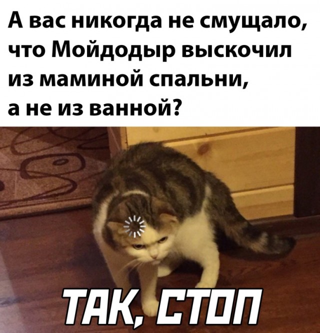 Весёлый полтишок 01.02
