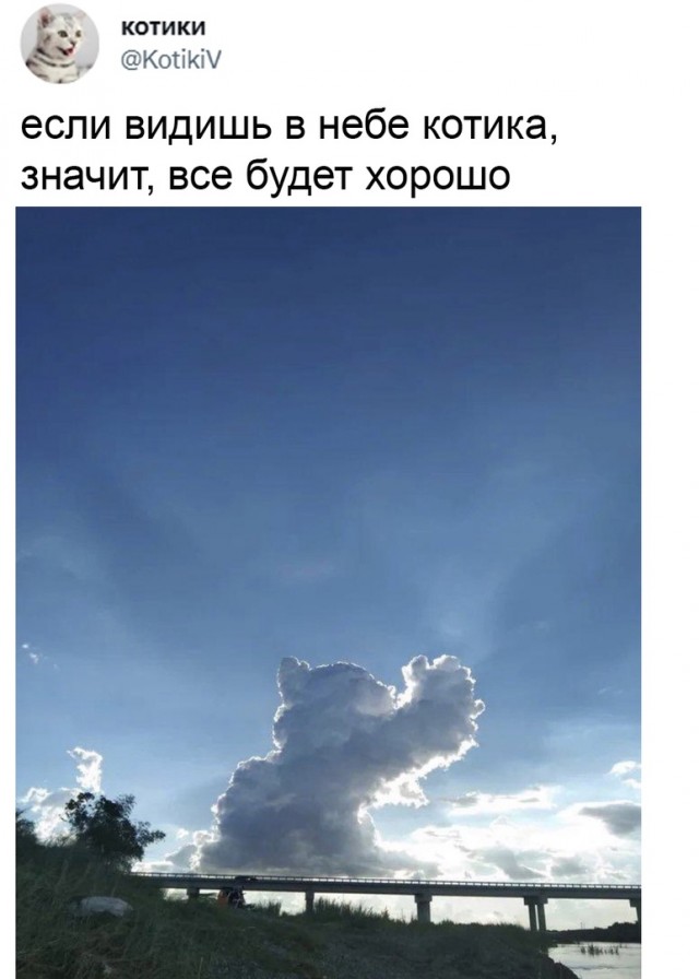 Так себе картинки 12.02.22