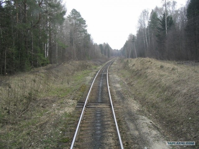 Озеро Яльчик