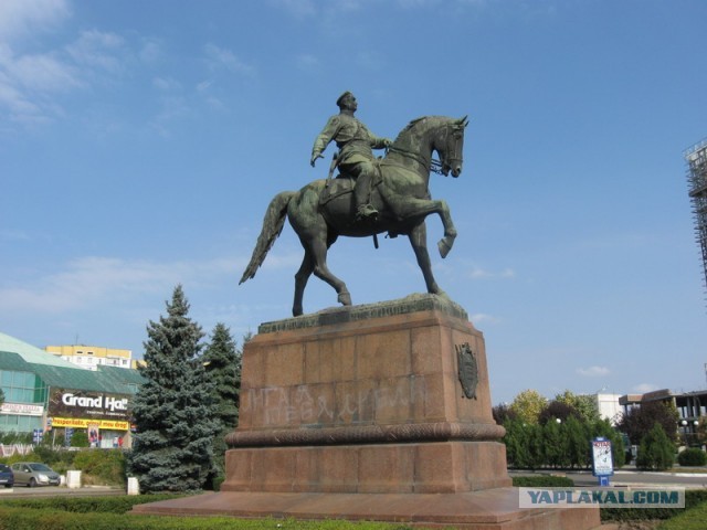 Беженцы быкуют