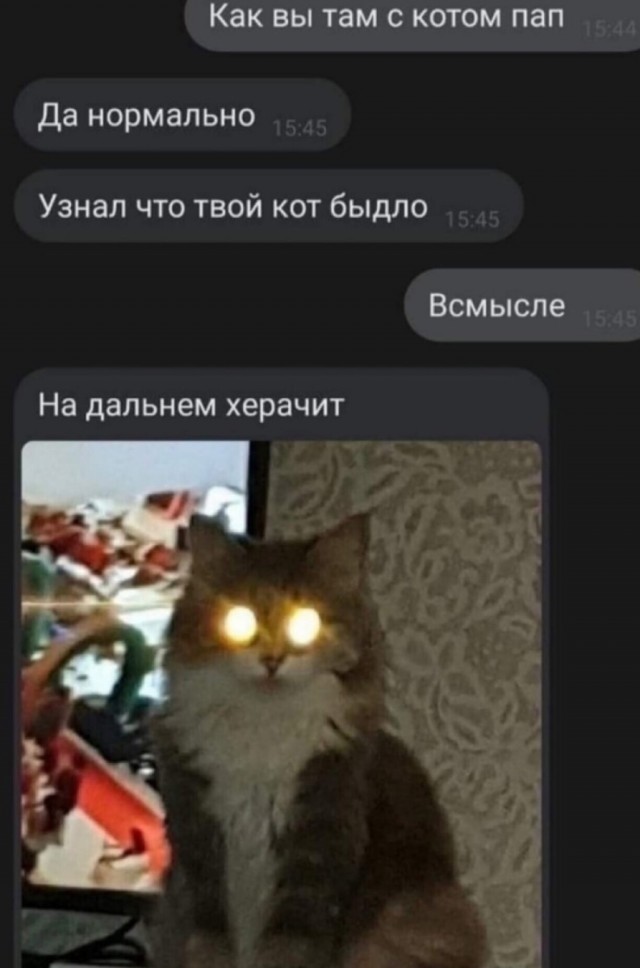 Улыбнись, не грусти!
