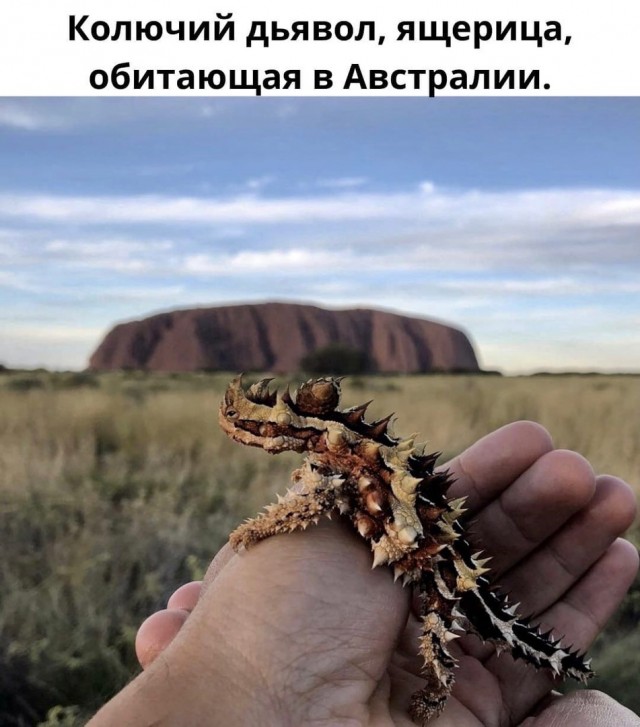 Так себе картинки 13.04.22