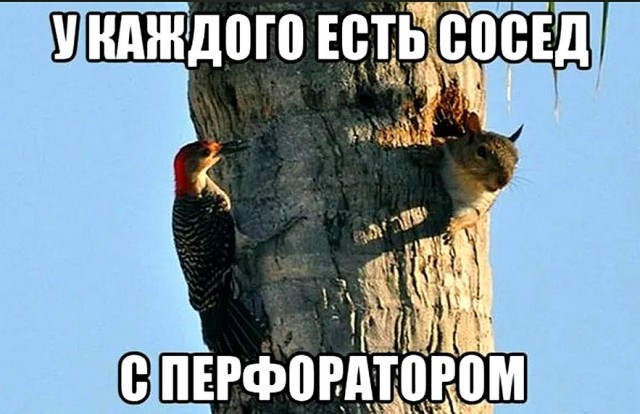 Человек сосед