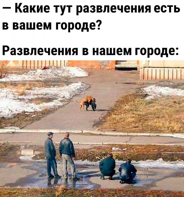 Так себе картинки 06.07.22