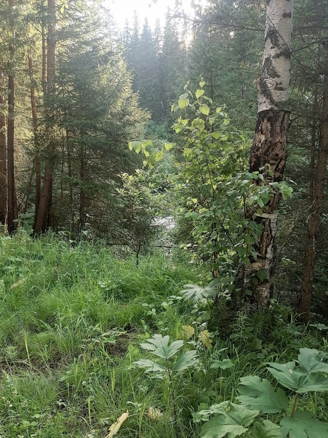 Небольшой отдых