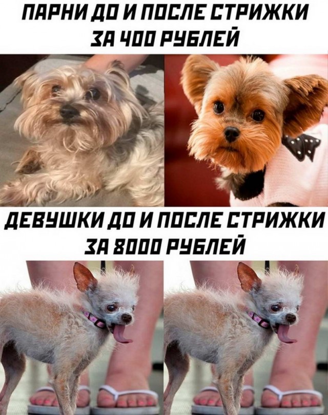 Картинки и мемы для настроения - 03
