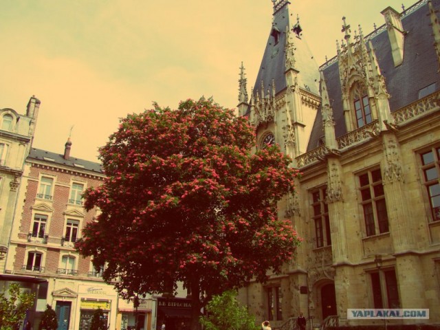 И целого мира мало!