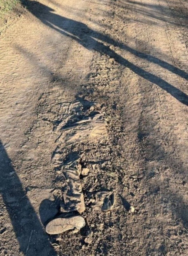 В Волгограде семьям погибших на Украине воинов передали ордена Мужества