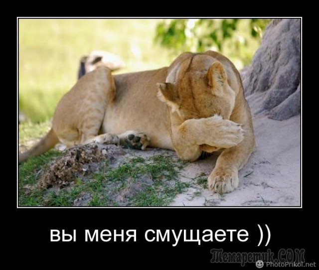 Пандемия съехавших крыш - разновидности болезни. Россия и мир. Часть 41.