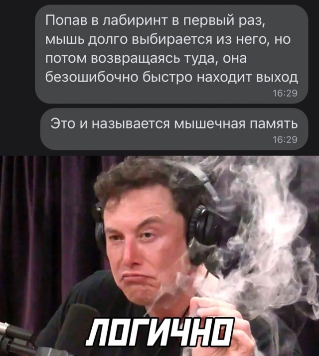 Картинки и мемы. Выходные близко...