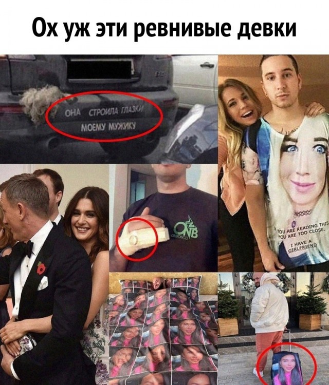Весёлый полтишок 02.11.22