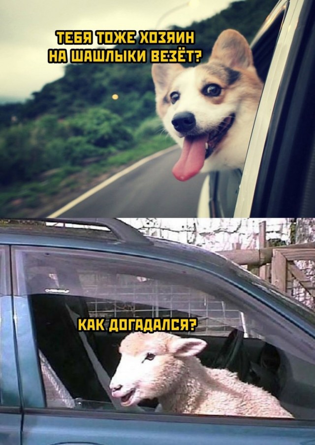 #9. Закрываем зиму