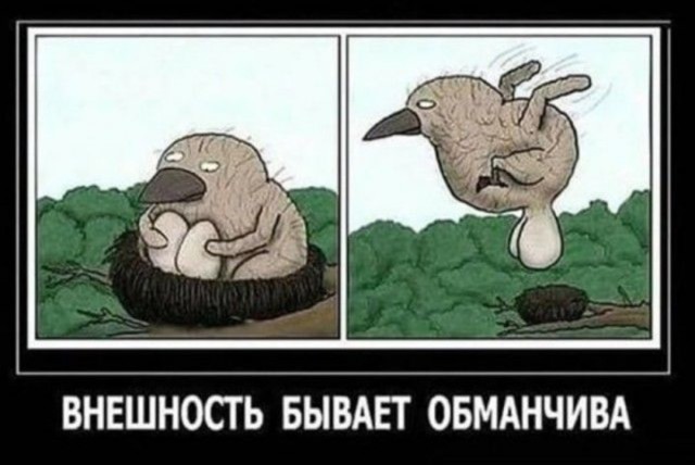 Жить ли с РСП?