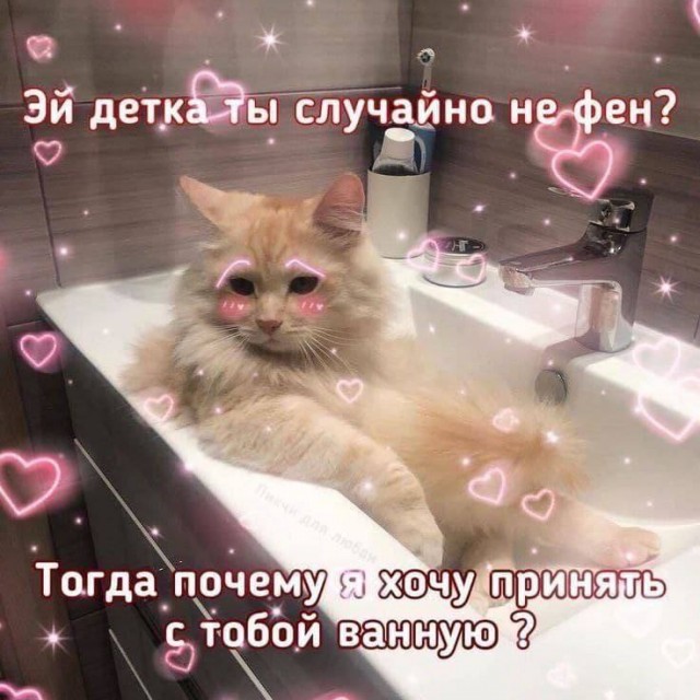 Немного мемчиков. Для взрослых. Часть 30