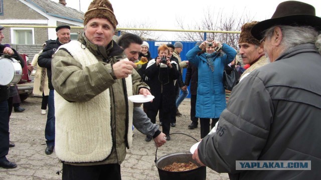 Крым в феврале или "Не стреляйте в белых лебедей!"