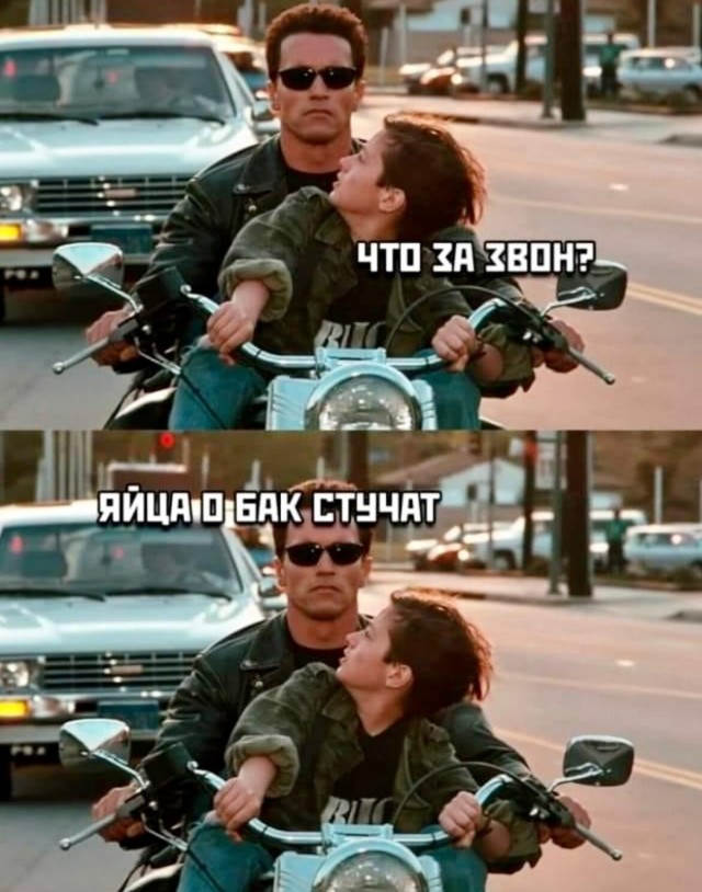 18154830.jpg