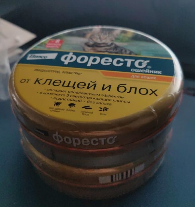 У меня появился хозяин. Вопрос знатокам