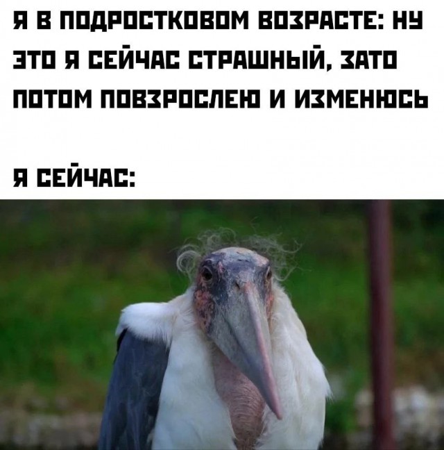 Нуштош 18.08.2023
