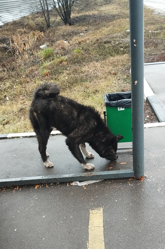 Самая последняя в галерее