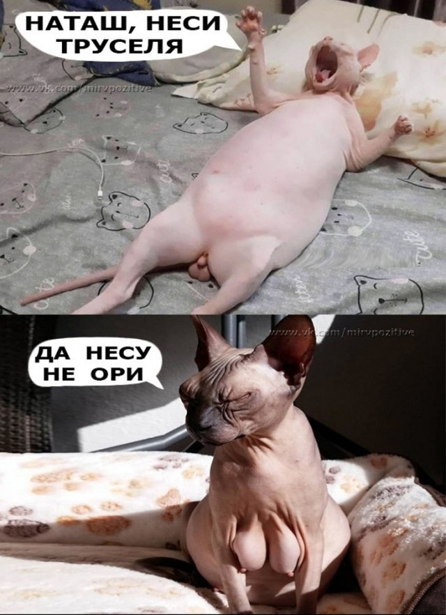 За*бали ворчать!