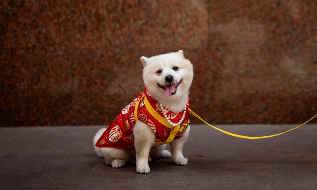 Подборка интересных и веселых картинок 13.02.24