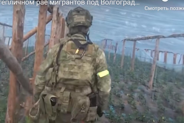 ФСБ собрала «урожай» в тепличном рае мигрантов под Волгоградом