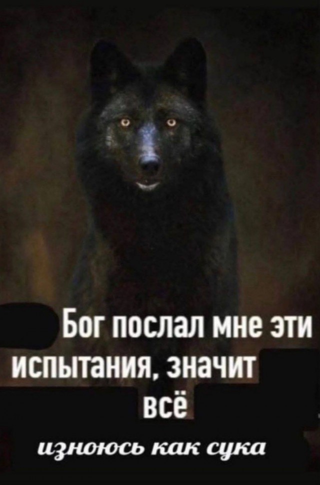 Всего понемногу. От 29.06.2024