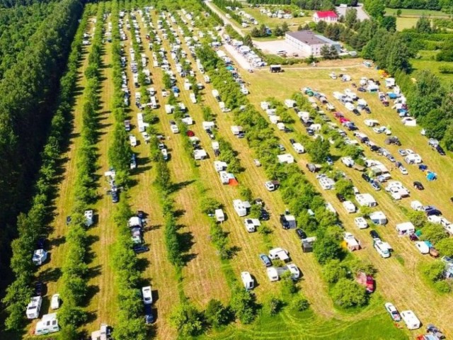 Hello Camper – месть Оргов.