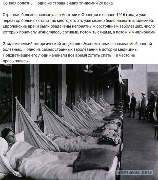 Небольшая подборка истрических фото (13.08.)