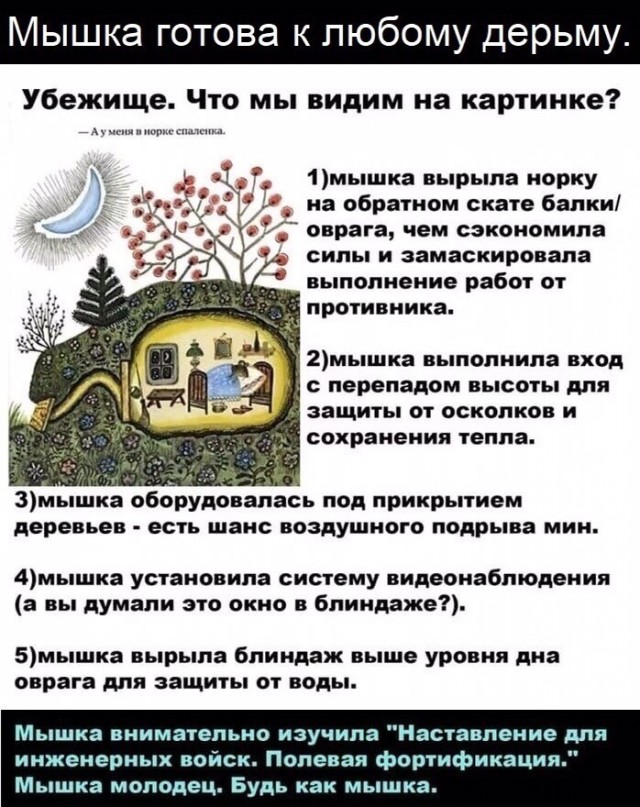 Всего понемногу. От 21.11.2024.