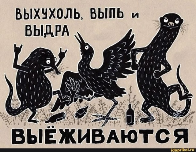 Лисухи и не лисухи