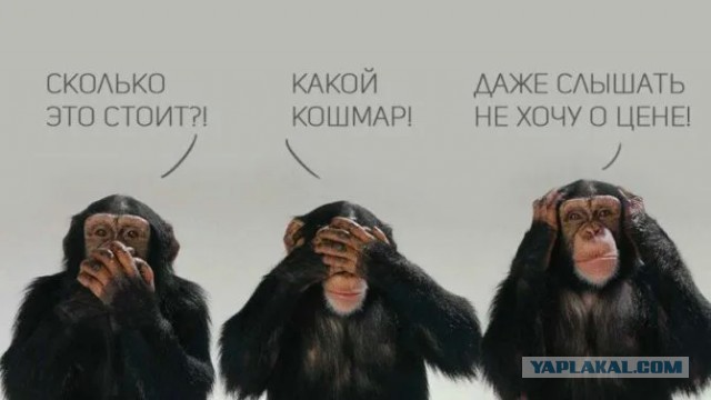 Кто виноват в росте цен?