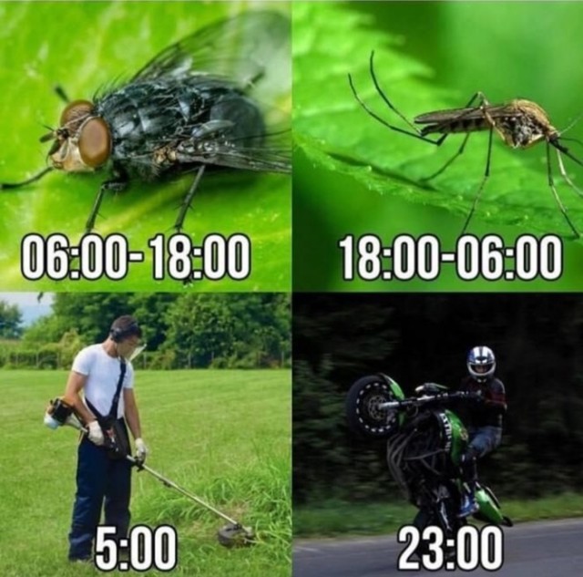 Расписание на лето