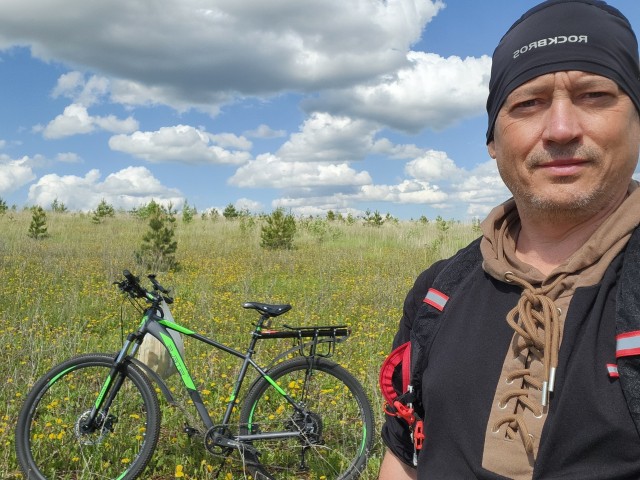 Чай из стеблей одуванчиков
