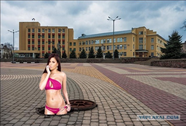 Свиньи на страже мира. Патроны со свиньями
