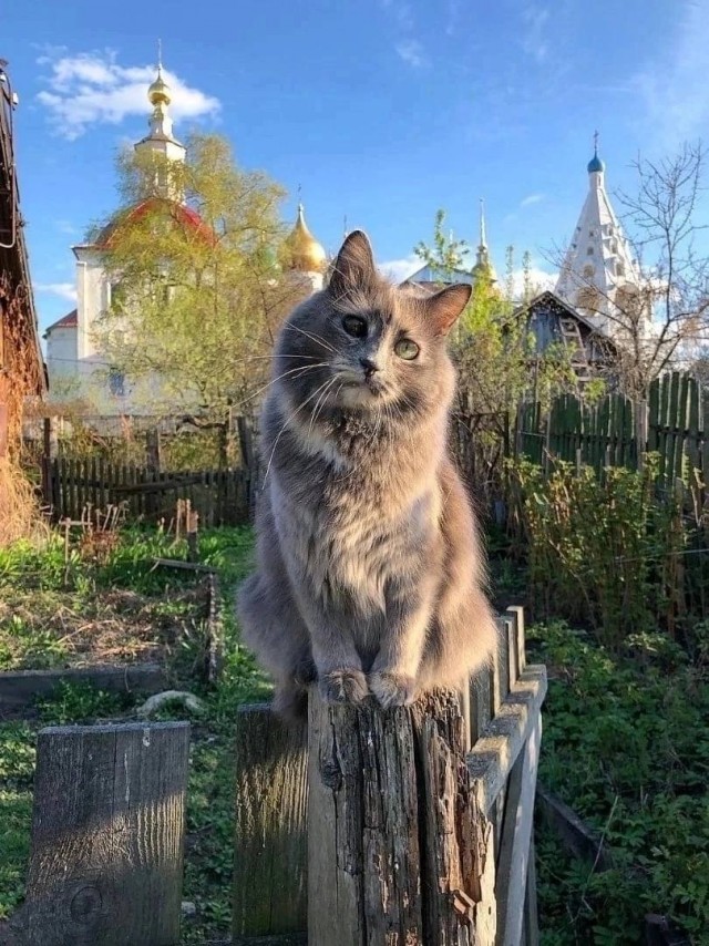Прикольные и просто красивые картинки