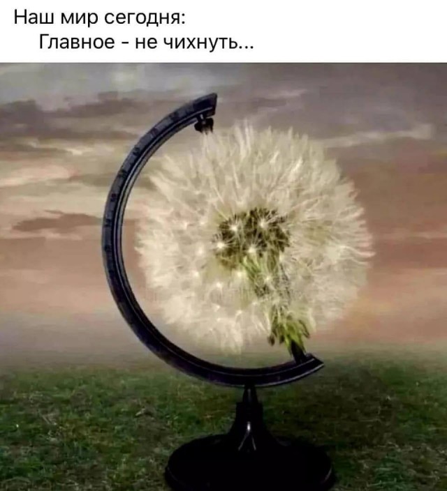 Так себе картинки 16.07.25