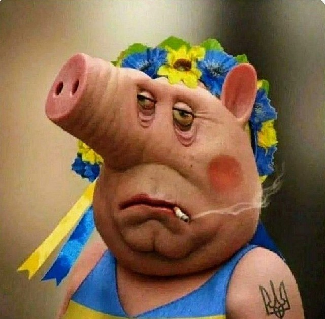 Популярная украинская тиктокерша попала в котел.... в Турции.