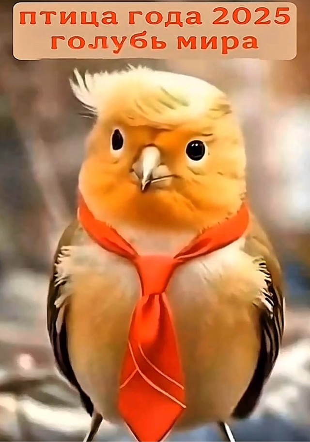 Вместо Нобелевской премии: Нетаньяху подарил Трампу золотого голубя мира