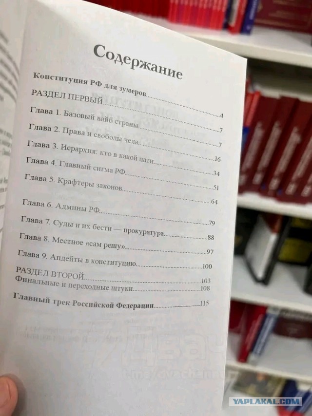 Конституцию для зумеров обнаружили в Читай-городе
