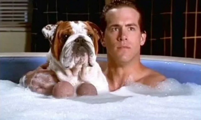 Король вечеринок.